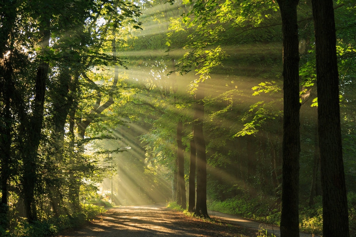 Een landgoed in de erf- of schenkbelasting